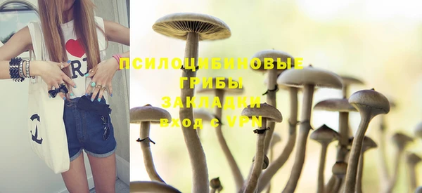 тгк Медногорск