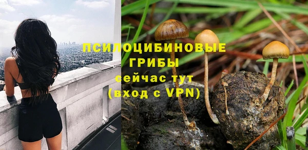 а пвп мука Медвежьегорск
