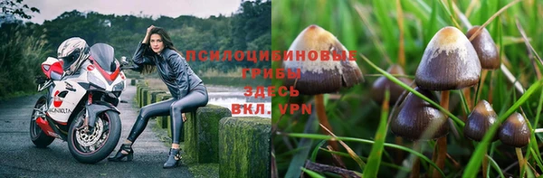 а пвп мука Медвежьегорск