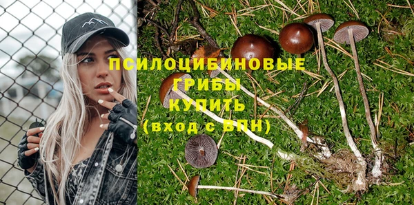 а пвп мука Медвежьегорск