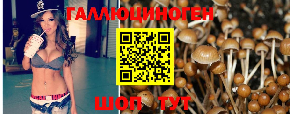 Галлюциногенные грибы мицелий  Псилоцибиновые грибы MAGIC MUSHROOMS  Рязань  Вход с VPN 