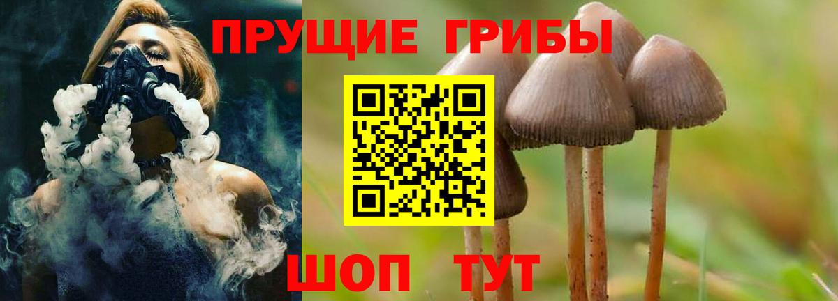 Псилоцибиновые грибы MAGIC MUSHROOMS Рязань